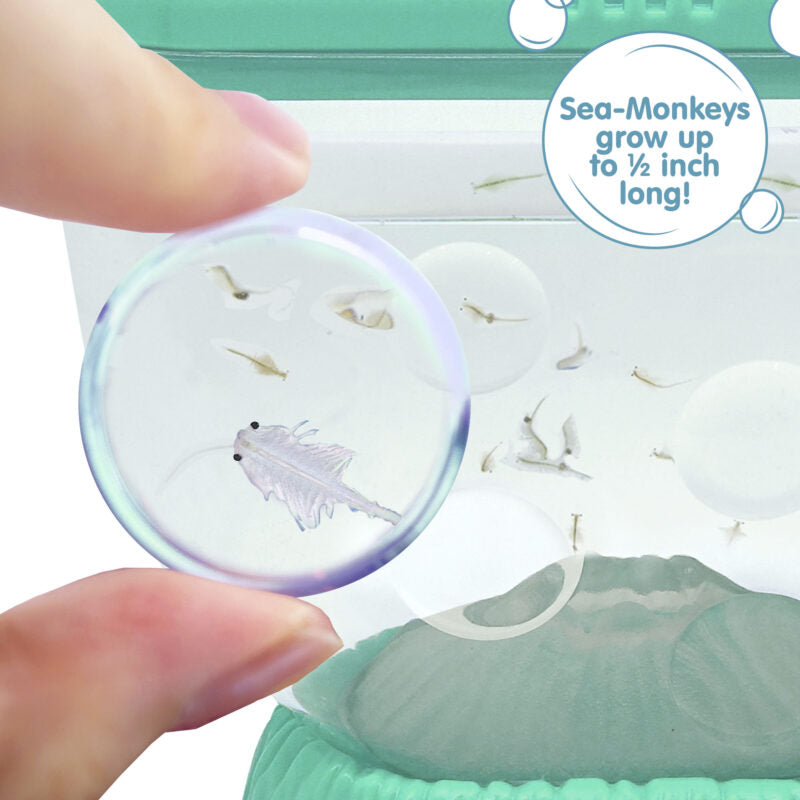Sea-Monkeys Ocean Volcano - US 4468
