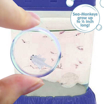 Sea-Monkeys Magiquarium - US 2896